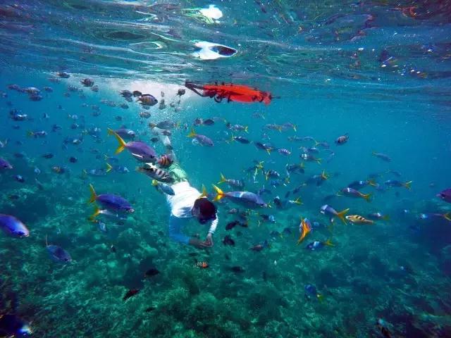 帕劳群岛隐藏攻略,帕劳旅游的优点和缺点