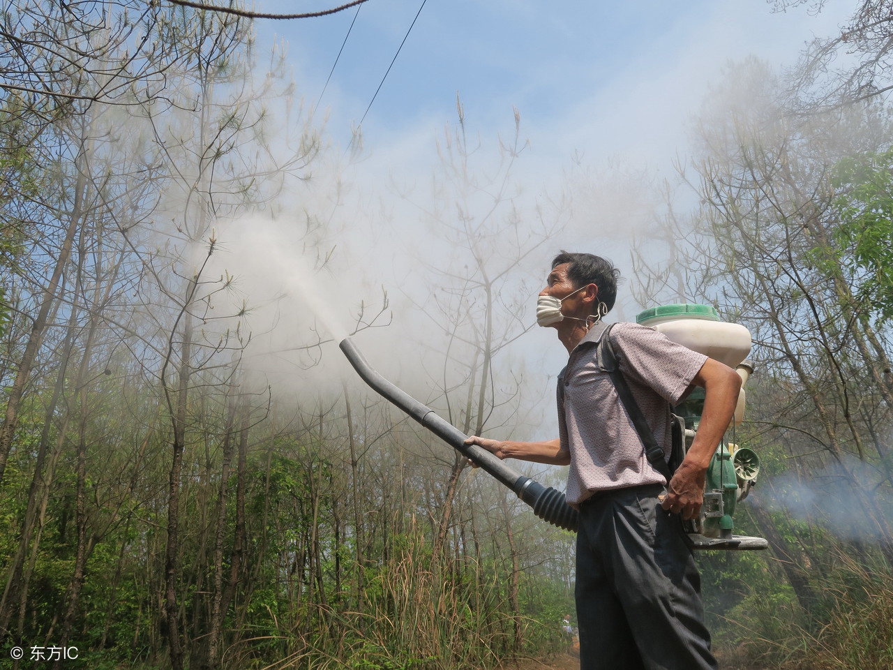 给果树打药配方,果树打农药受药害了怎么办