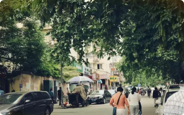 淮阴区卫岗,亳州卫岗镇