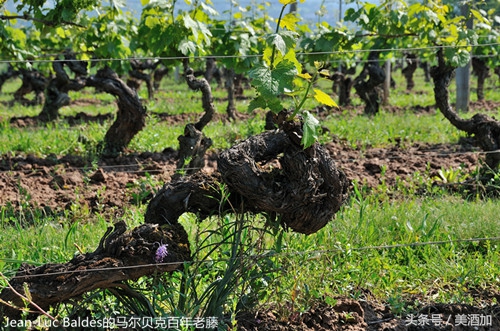 在北京打工月薪1万5什么水平,在北京月工资两万还存不了钱