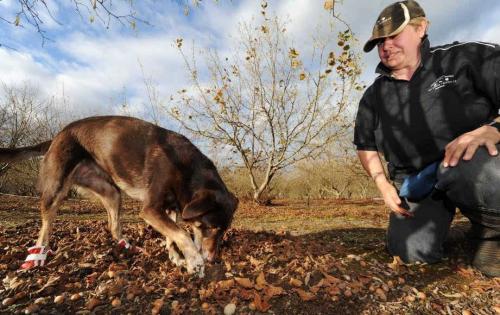 亚美科技车联网最近信息,广州亚美科技公司怎么样