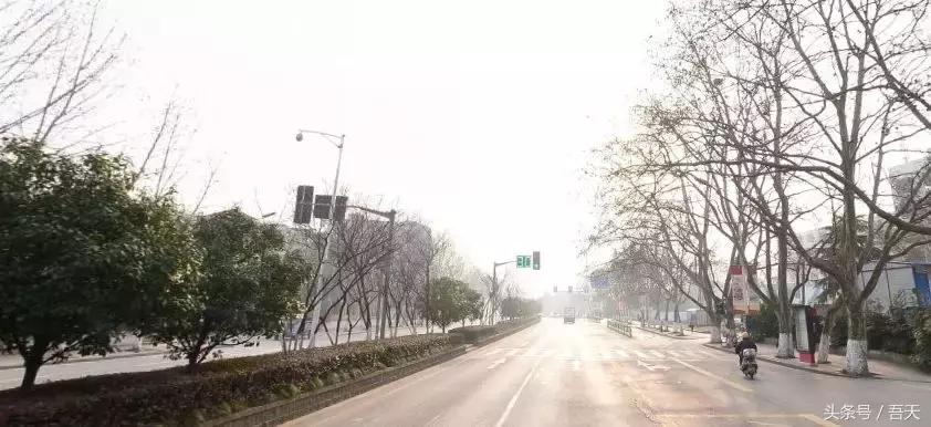 淮阴区卫岗,亳州卫岗镇