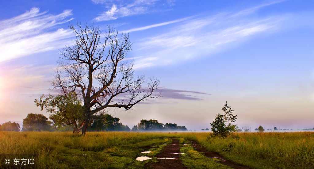 饮湖上初晴后雨二首其二,饮湖上初晴后雨二首其二讲解