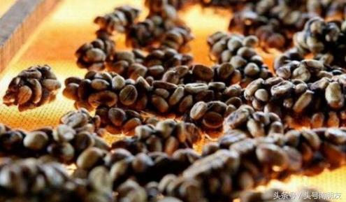 浙江旅游手信,出国旅游的手信