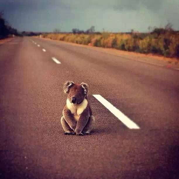 澳洲签证体检后多久签证可以获批,澳洲820签证转801签证需要多久