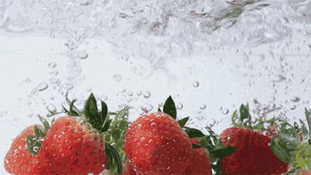 武汉比较靠谱的摘草莓基地,武汉市黄陂区摘草莓地方