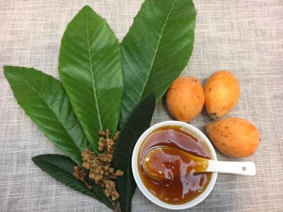 枇杷膏100块3盒,国产枇杷膏多少钱一盒