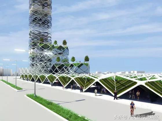 垂直农场与垂直农业 (国外垂直农场现状)