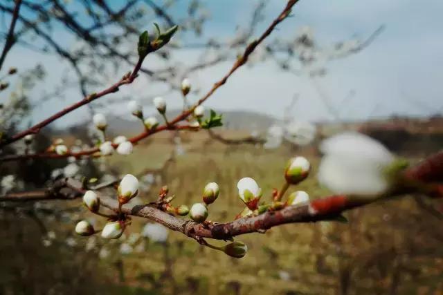 古代有趣的诗,脑洞大开的诗
