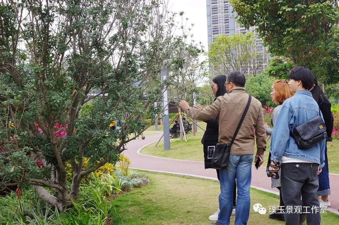 深圳香蜜公园航拍视频,香蜜湖香蜜公园