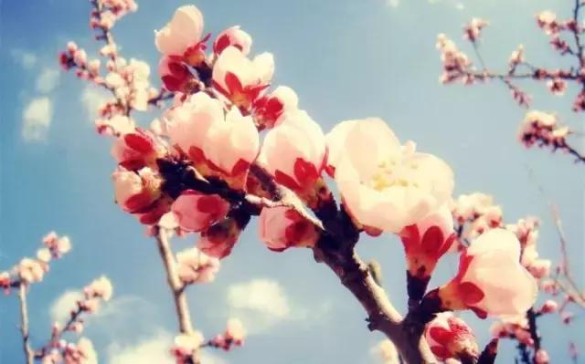 古代有趣的诗,脑洞大开的诗