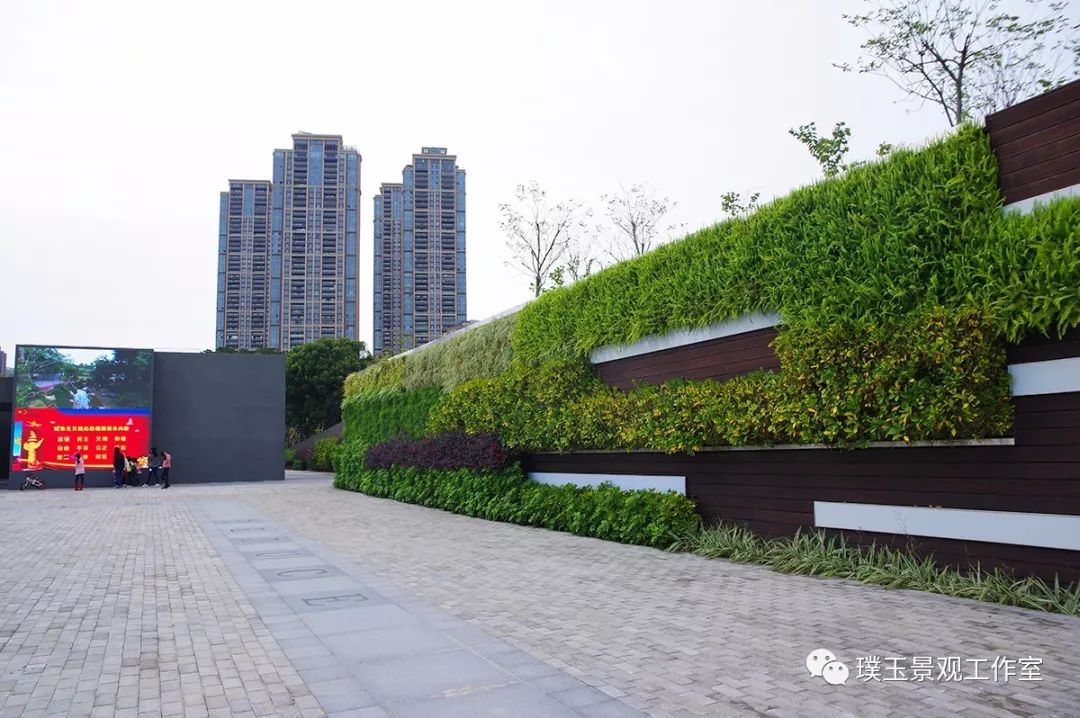 2019年香蜜湖公园,最新香蜜公园视频