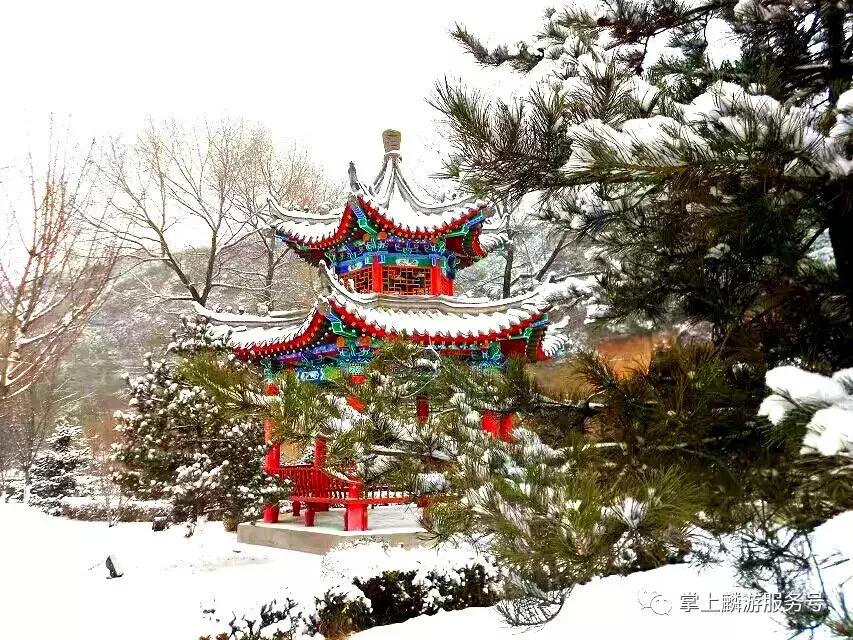 美丽麟游完整视频,雪景美如素描画