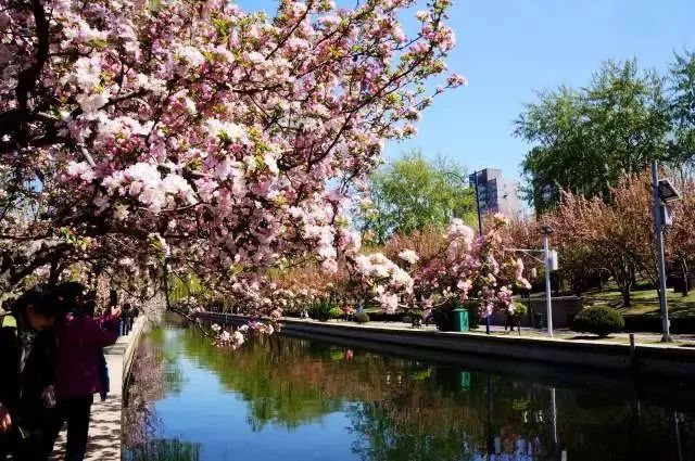 期盼已久的地铁线全线贯通,即将通车的5条地铁线