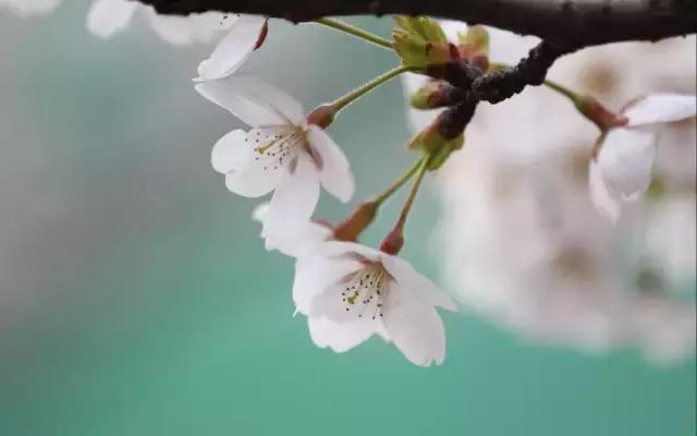 古代有趣的诗,脑洞大开的诗