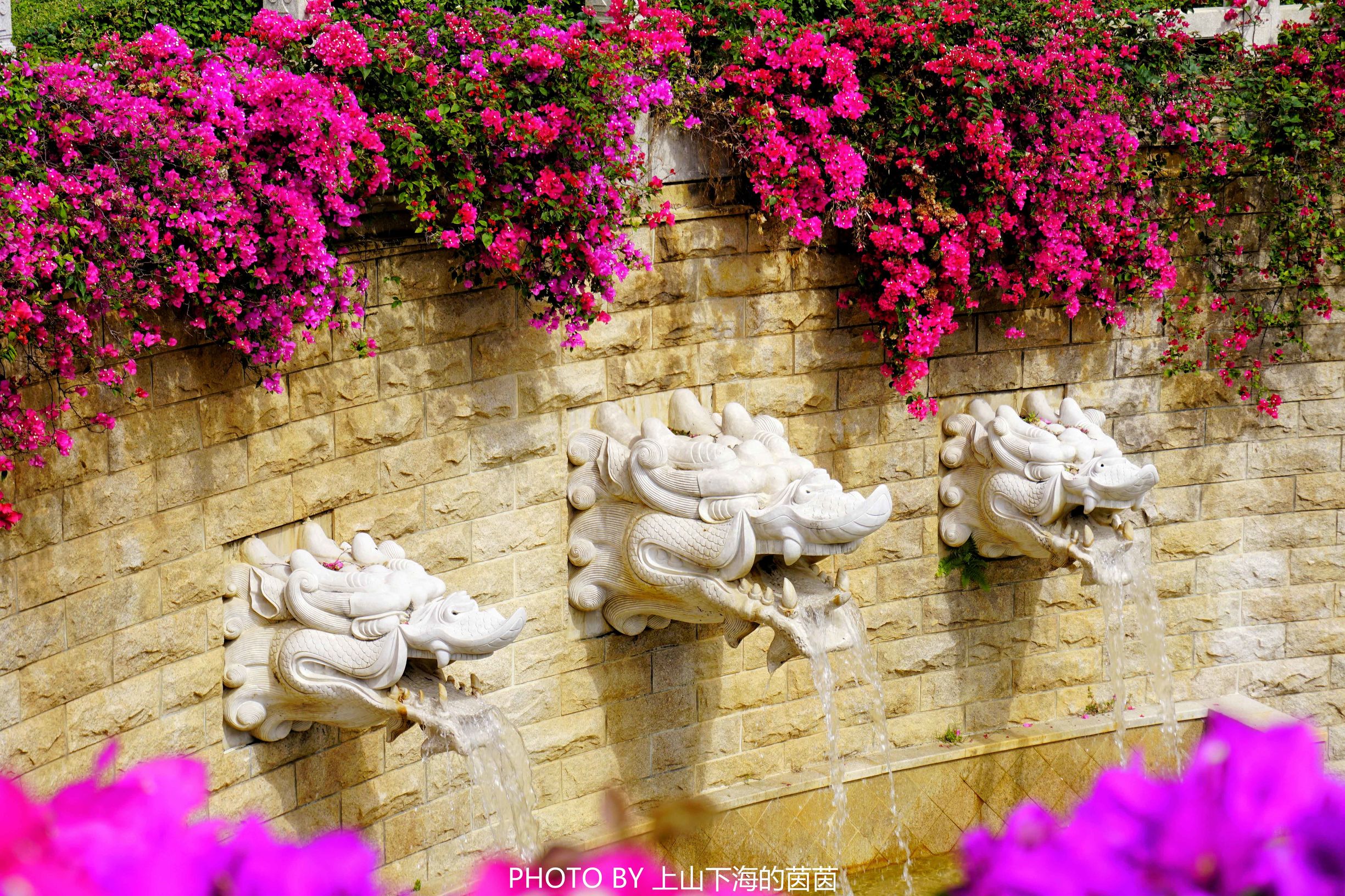 三亚亚龙湾华宇酒店房型,三亚亚龙湾华宇度假酒店至尊房