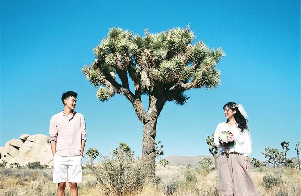 小清新婚纱照唯美图片,小清新婚纱照是不是很唯美啊