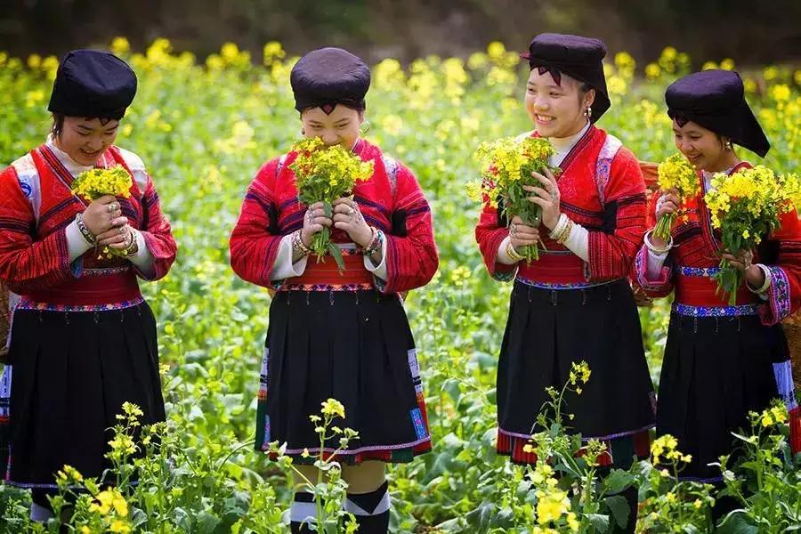 龙脊红瑶寨门票,桂林龙脊梯田门票优惠政策最新