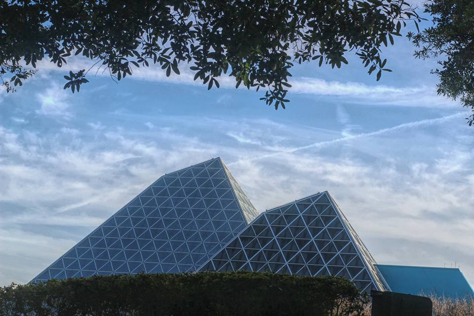 春天没能一起放风筝夏天一起看海,春天去不去旅游