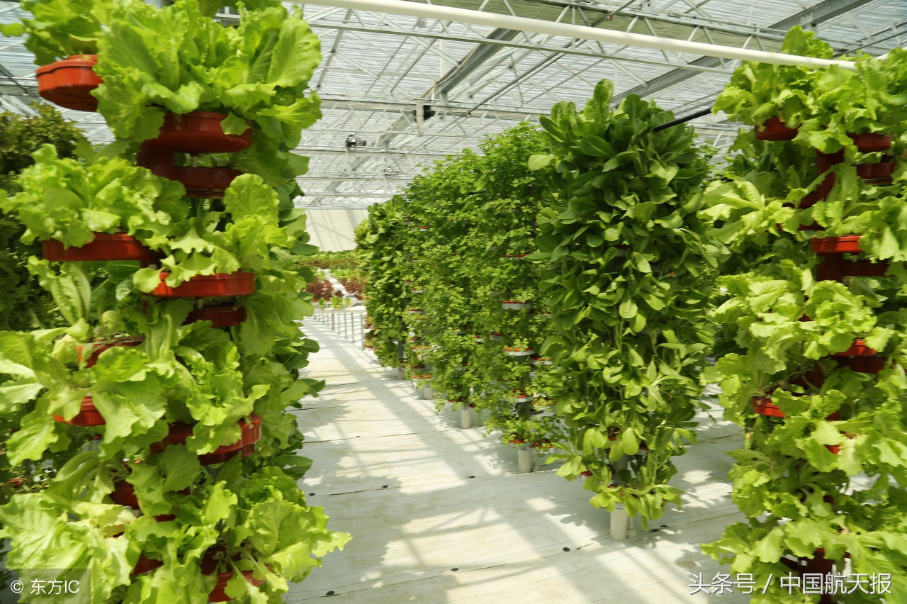 中国航天科工十院导弹系统,中国航天运载火箭技术研究院十所