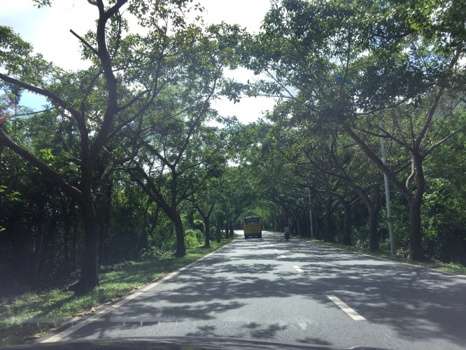 带上父母去看海完整视频,带你去三亚一起看海享受亲子时光