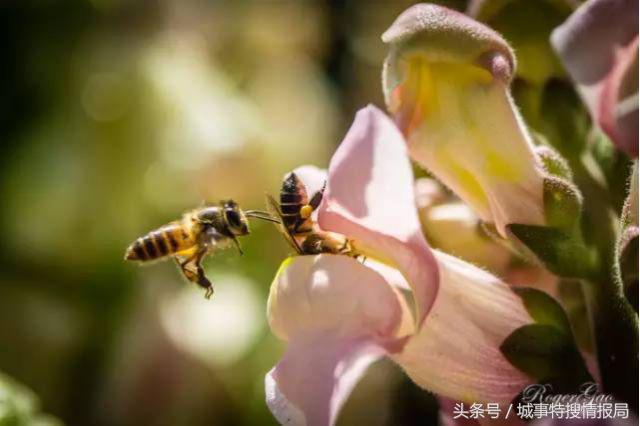 这是我见过最详细的旅游攻略,澳门必须去的旅游景点推荐