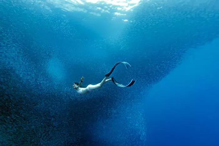 2018年全球华人摄影十杰,中国第18届国际摄影展入围作品