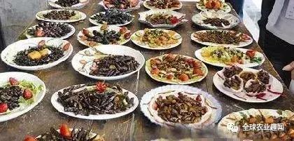 美国两大学生把蟋蟀制成食品大卖，吃昆虫将成未来趋势？