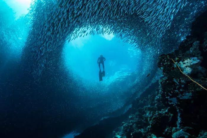 2018年全球华人摄影十杰,中国第18届国际摄影展入围作品