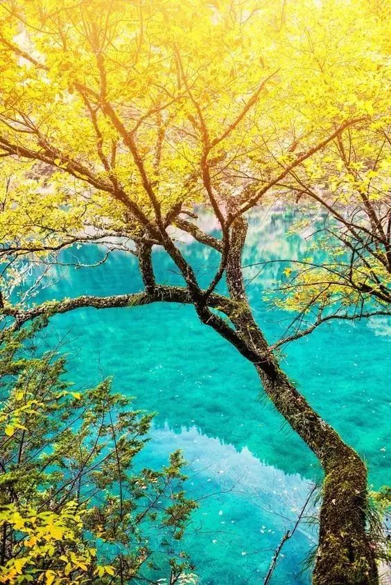 28岁前该去的9个旅游地,必去的30个旅行地