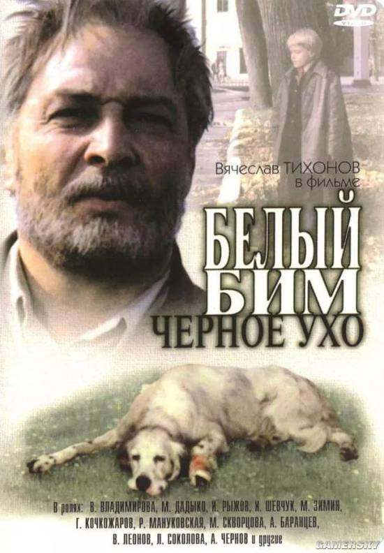 关于狗的电影你喜欢哪一部呢,十部关于狗的电影