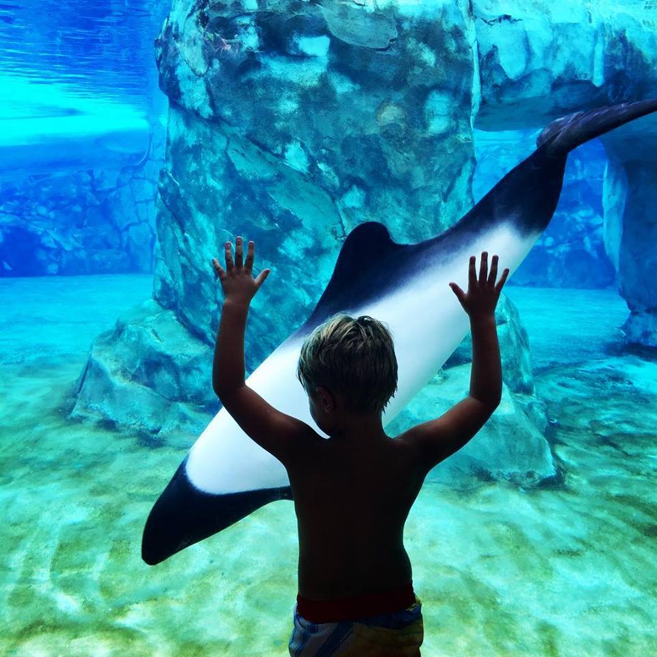 春天没能一起放风筝夏天一起看海,春天去不去旅游