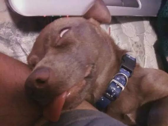 科普~一瓶好的”*身失**酒“才不会辜负我的认真*引勾**，帅哥美女记