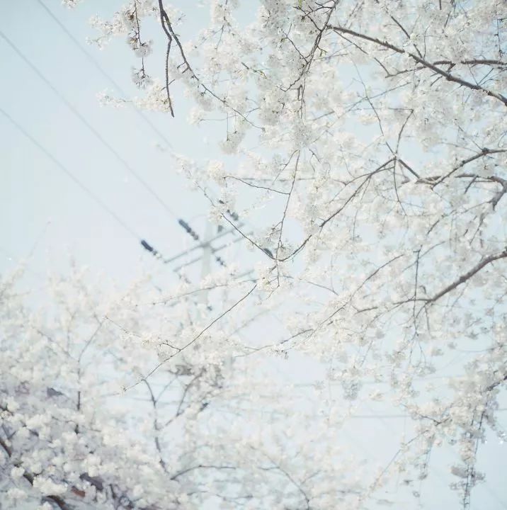 海岛签证全攻略,海岛签证最新攻略