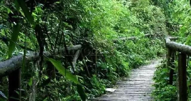 北京各区16处免费森林公园,森林公园北京有几个