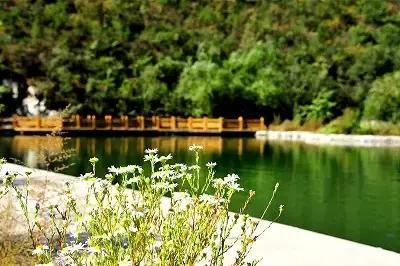 北京这38个森林公园您都去吗？先收藏了，有空咱们玩个遍！