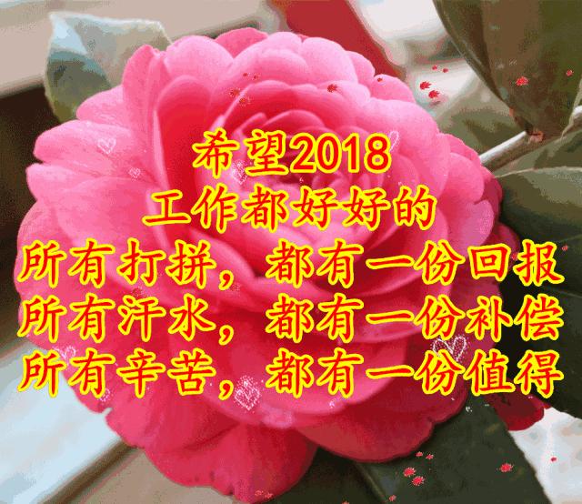 11月4,有群的都看看,太美了,这一辈子见一次值了!