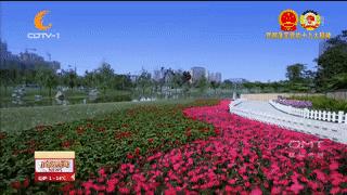 成都，你的电话铃声响了，咋来电显示的全是“世界名城市长”？