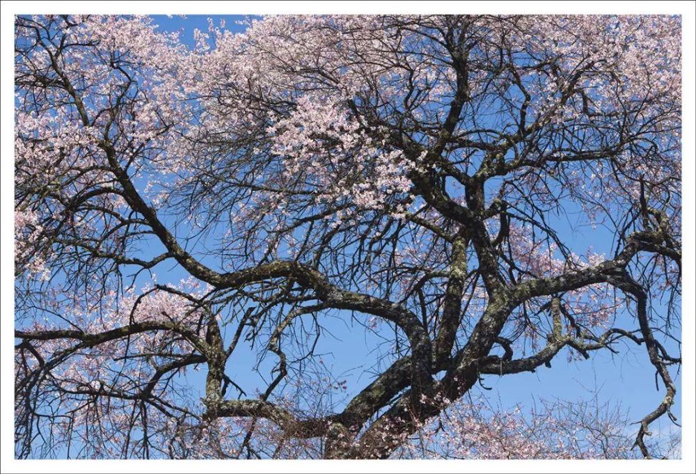 ps怎么在图层上画框,ps做出唯美效果