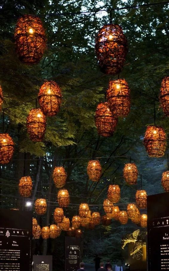 加拿大奇幻森林,加拿大魔法森林风景