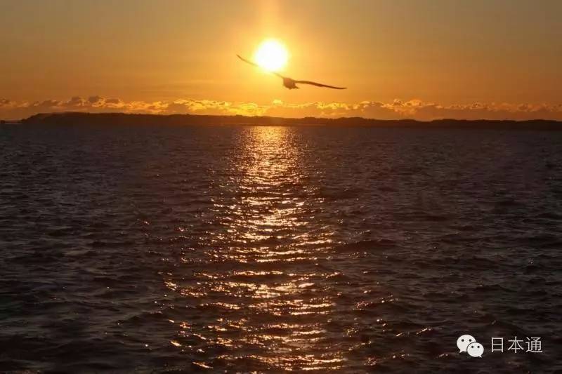 千万不要去魅力指数连续3年倒一的茨城，给你十个理由够不够