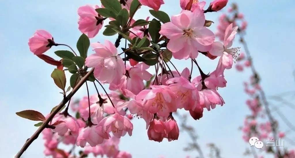 让农村变有钱,农民富起来的农村