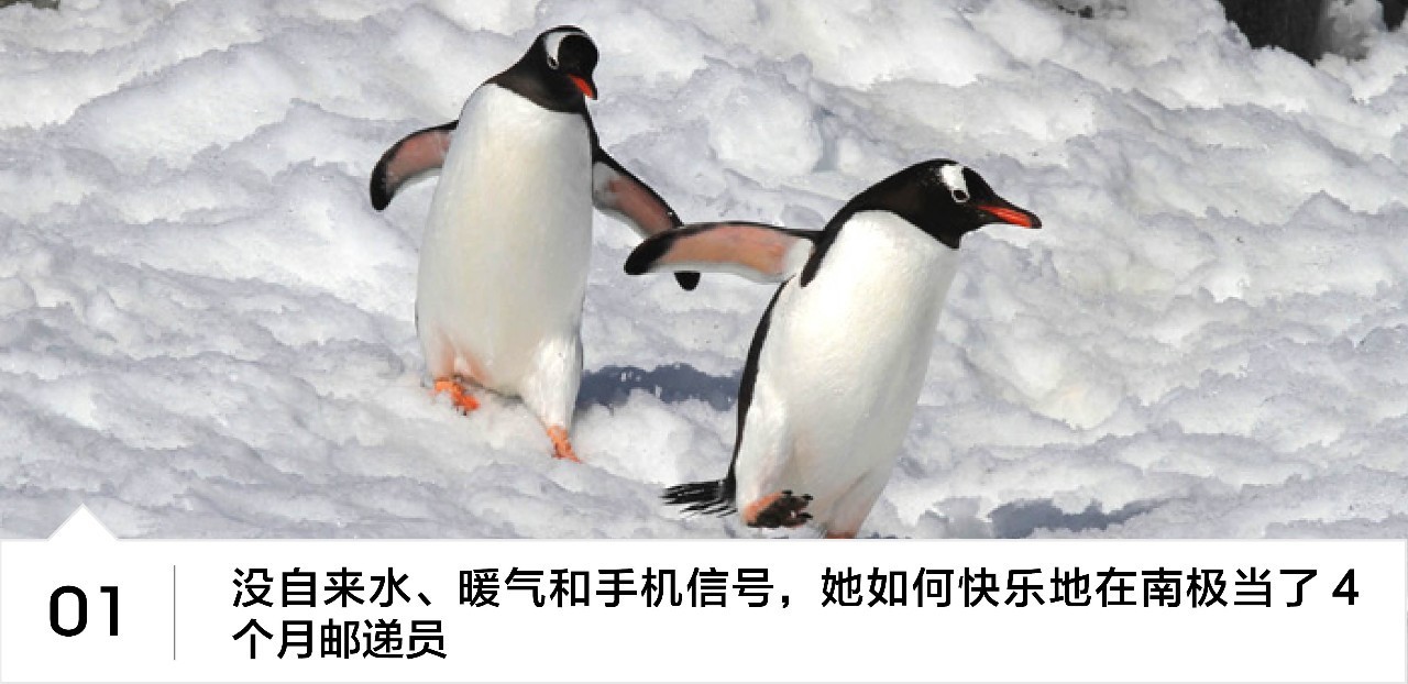 面子是这个世界上最重要的东西,面子是这个世界上最不重要的东西