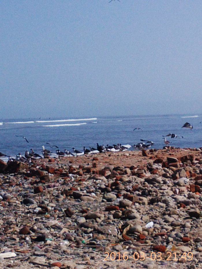 去巴西阿根廷秘鲁智利四国游,巴西阿根廷智利秘鲁地图