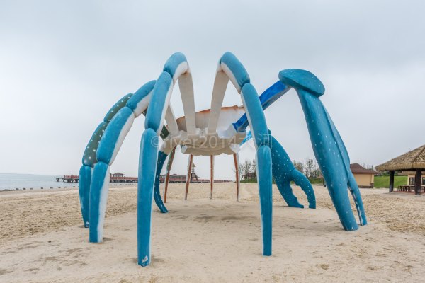 下雨天去启东看海,启东看海的最佳地点