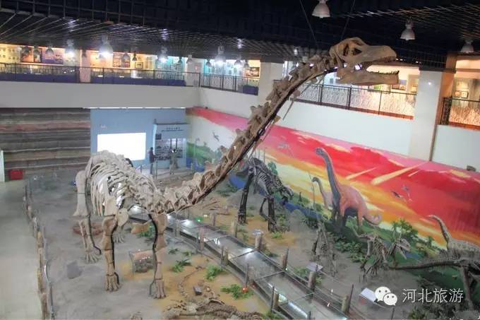 六一儿童节去哪里带孩子,六一去哪里带小朋友玩