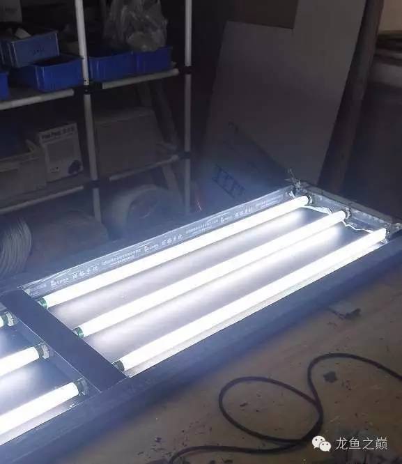 超级白，超会做，这才叫养鱼！