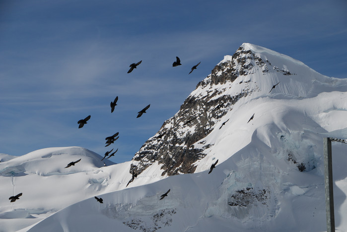 瑞士十日深度自驾游之六,湖光山色瑞士旅游