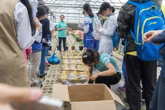 怎样选购灵芝孢子粉,上海农科院专卖店官网灵芝孢子粉