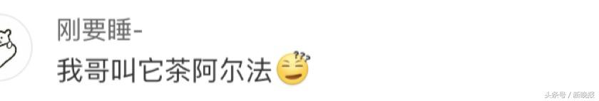 这些口误闹出的笑话,你有哪些因为口误而闹出的笑话